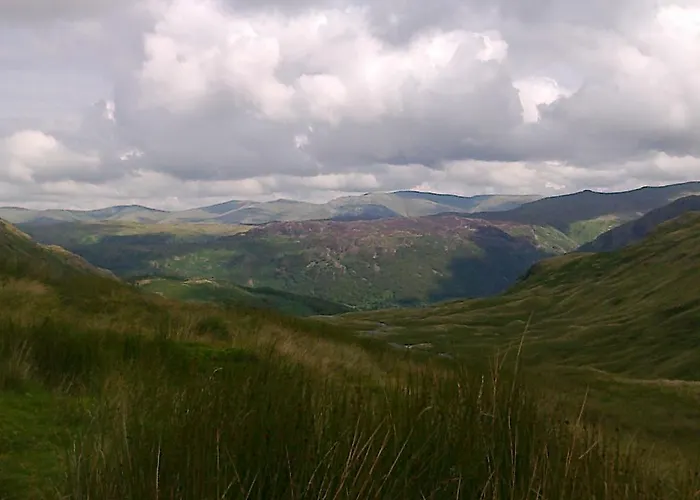 Bed & Breakfast Fitz House